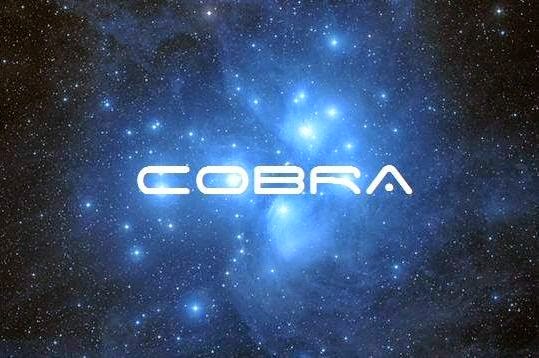 Image result for COBRA 2012 PORTAL